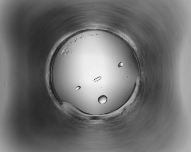 X0000099581136200805301554