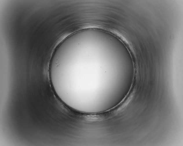 X0000099581137200805301554