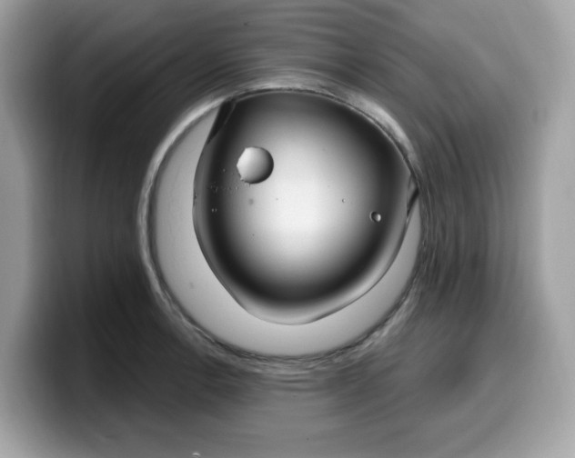 X0000099581138200805301554