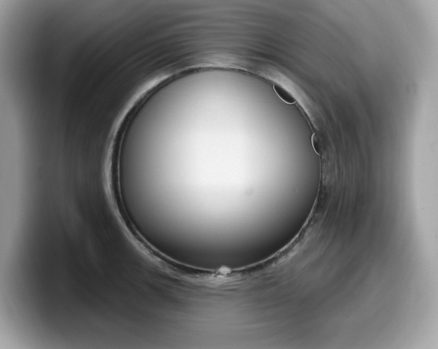 X0000099581139200805301554