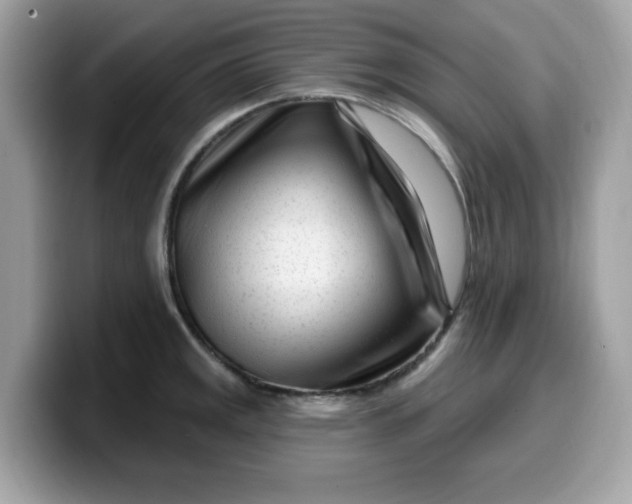 X0000099581141200805301554