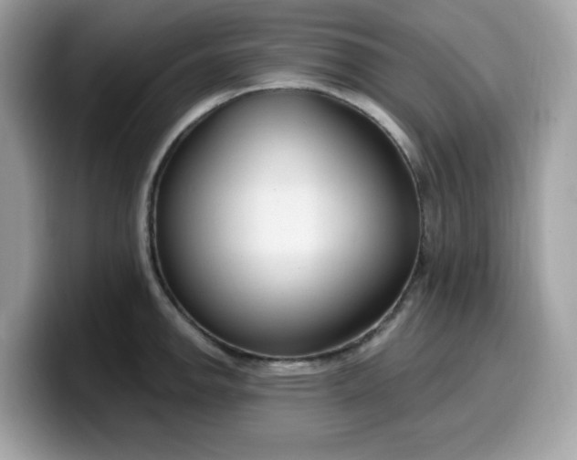 X0000099581142200805301554