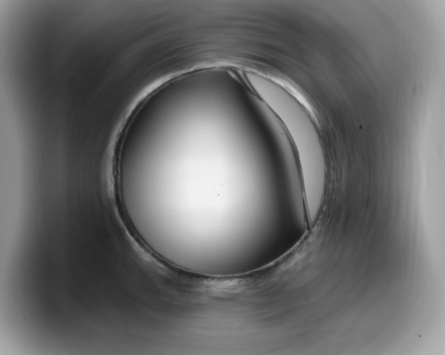 X0000099581143200805301554