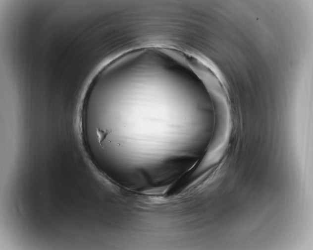 X0000099581144200805301554