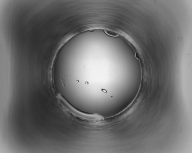 X0000099581145200805301554