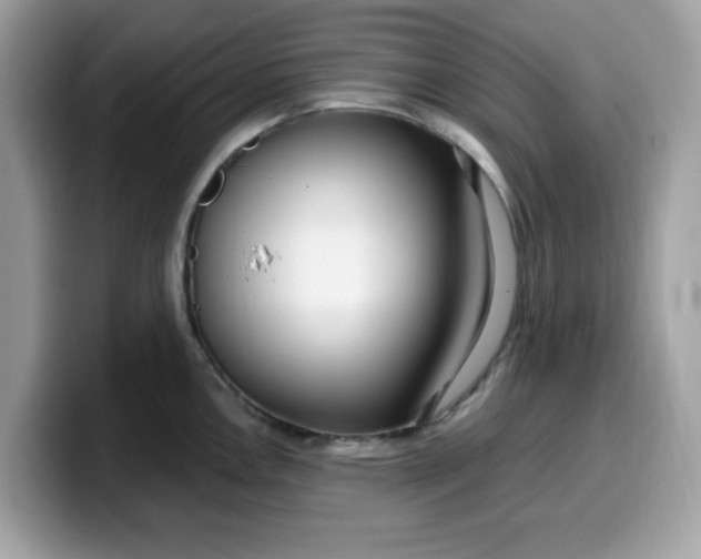 X0000099581146200805301554