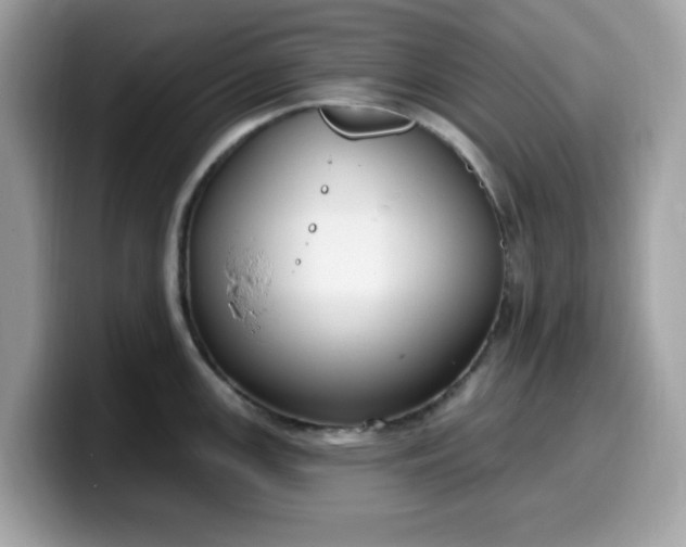 X0000099581147200805301554