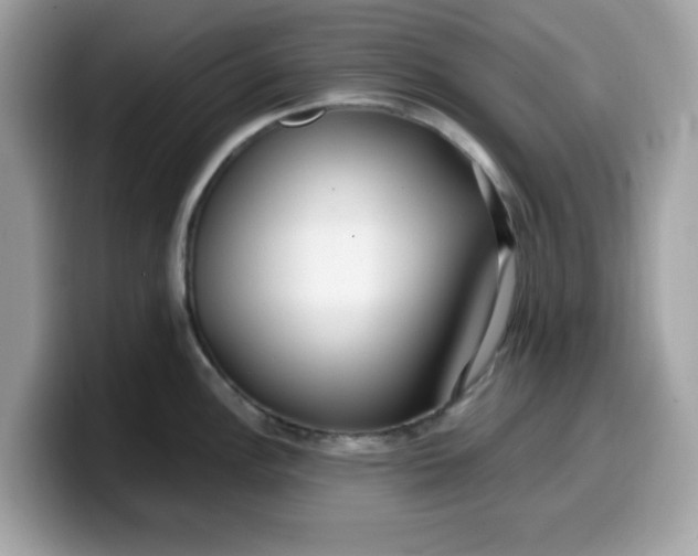 X0000099581148200805301554