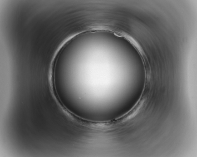 X0000099581149200805301554