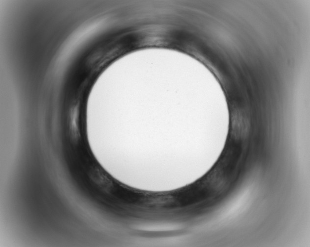 X0000099581150200805301554