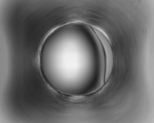 X0000099581151200805301554