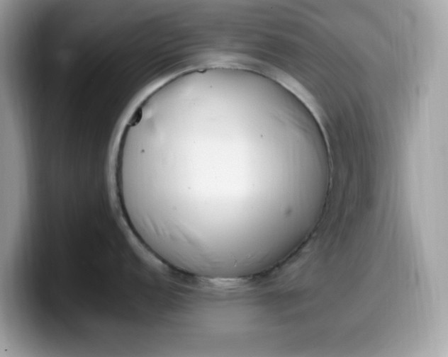 X0000099581152200805301555