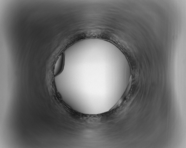 X0000099581153200805301554