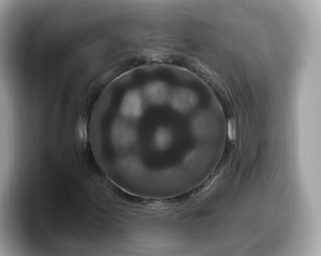 X0000099581155200805301554