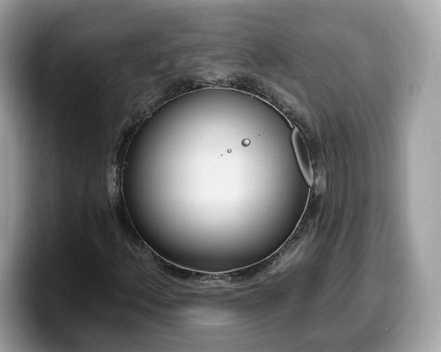 X0000099581156200805301554