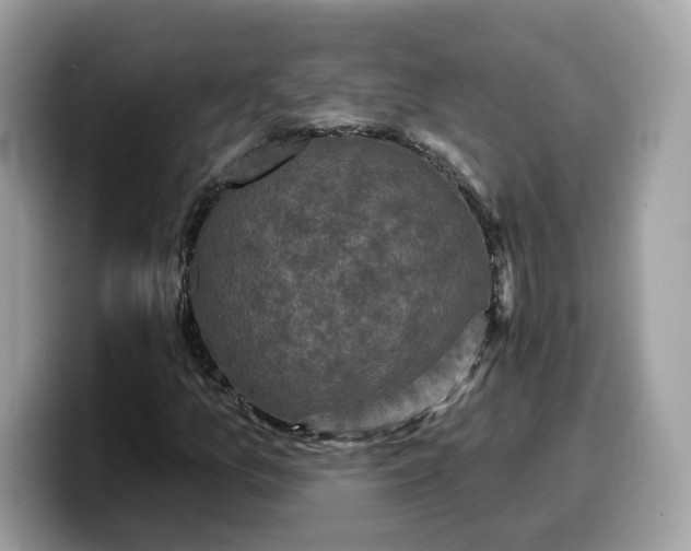 X0000099581157200805301554