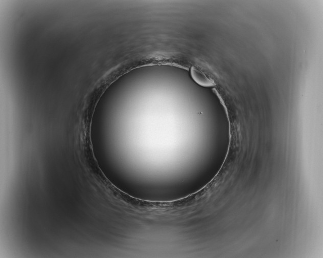 X0000099581158200805301554