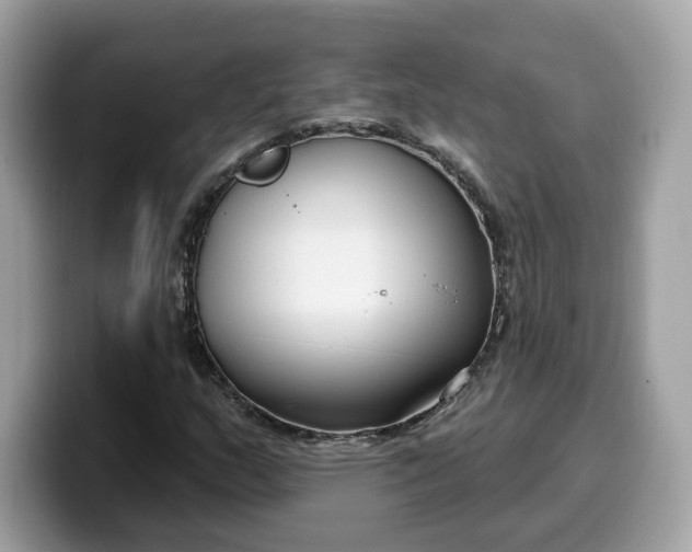 X0000099581159200805301554