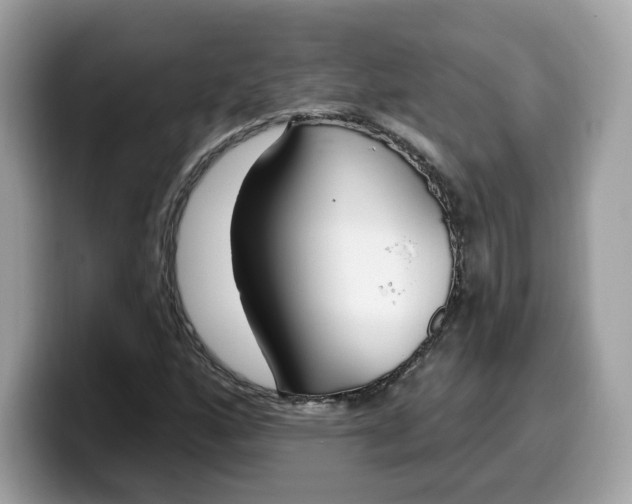 X0000099581160200805301554