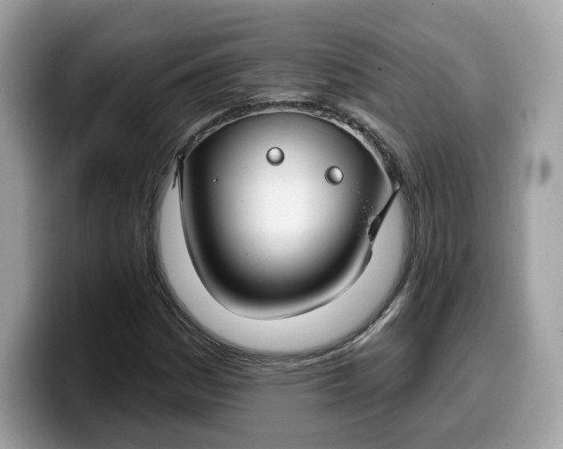 X0000099581161200805301554