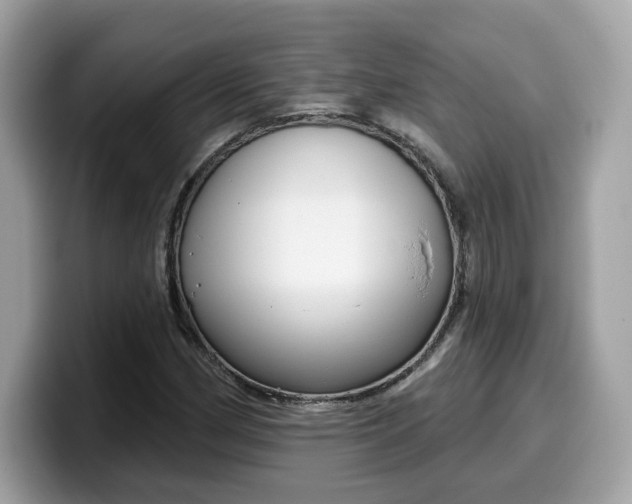 X0000099581162200805301554