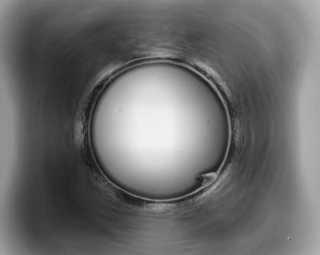 X0000099581163200805301554