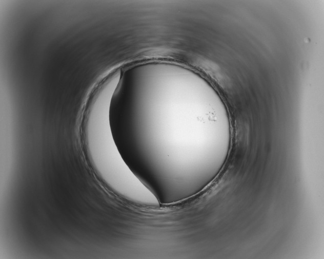 X0000099581164200805301554