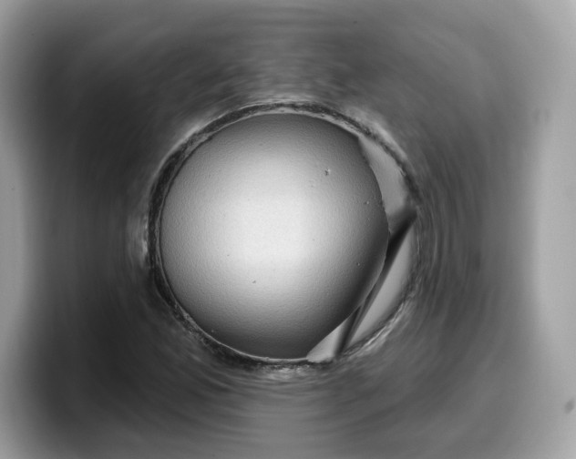 X0000099581165200805301554