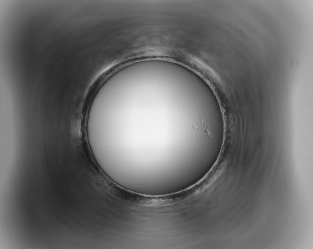 X0000099581166200805301554