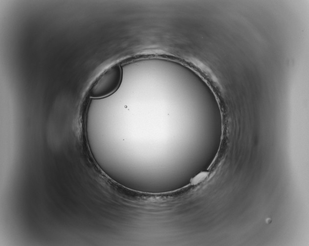 X0000099581167200805301554