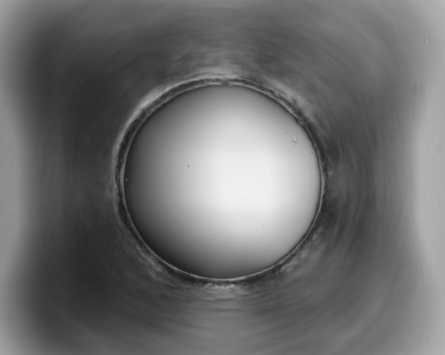 X0000099581168200805301554