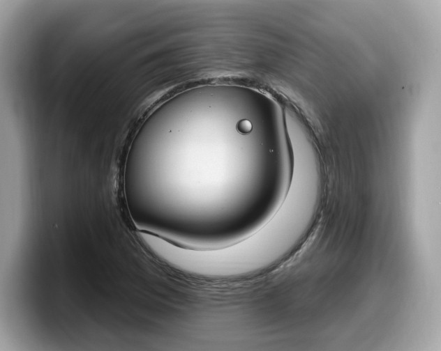 X0000099581169200805301554