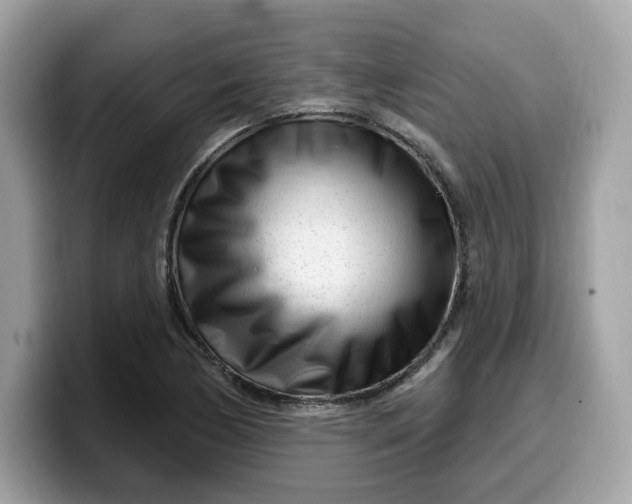 X0000099581170200805301554