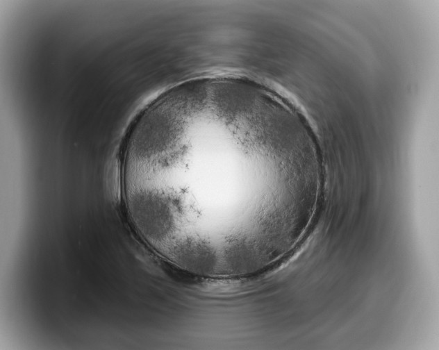 X0000099581171200805301554