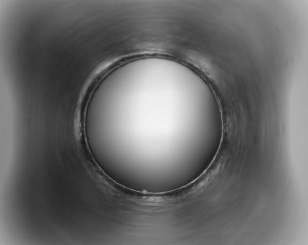 X0000099581172200805301554