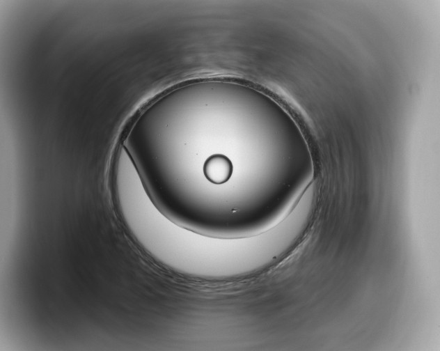 X0000099581173200805301554