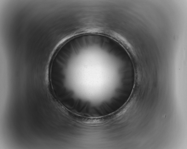 X0000099581174200805301554