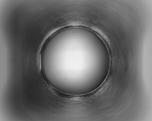 X0000099581175200805301554