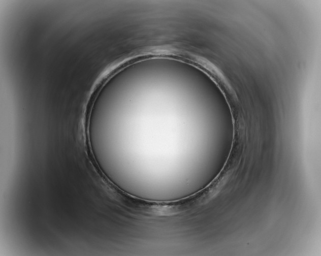 X0000099581176200805301554