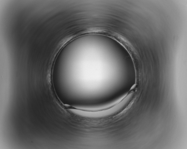 X0000099581177200805301554