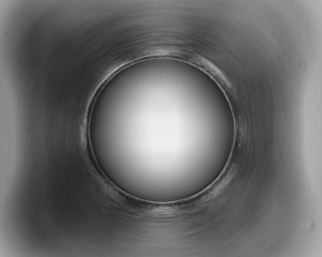 X0000099581178200805301554