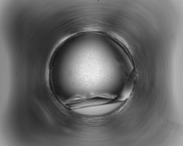 X0000099581179200805301554