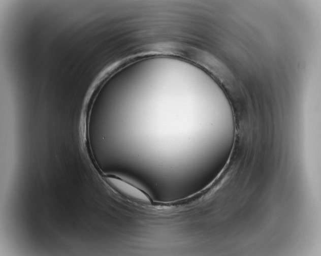 X0000099581180200805301554