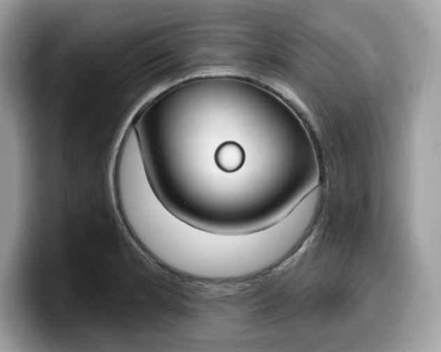 X0000099581181200805301554