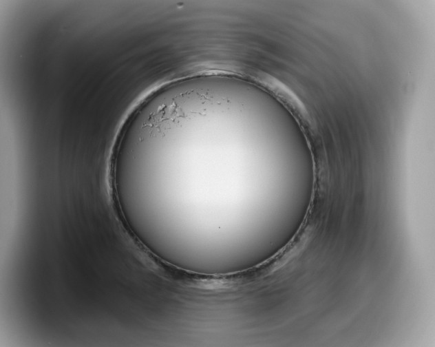 X0000099581182200805301554