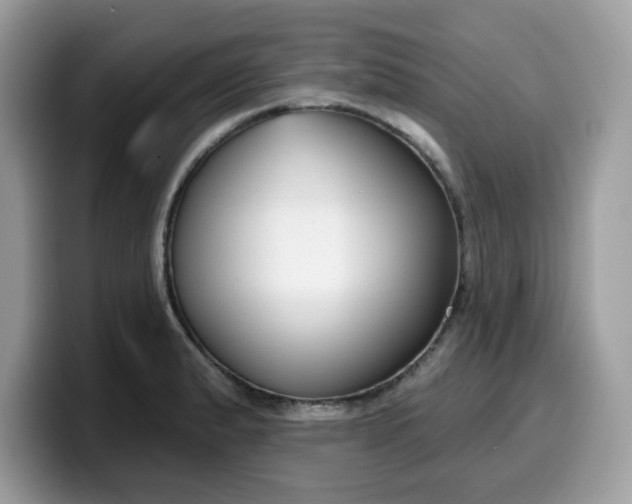 X0000099581183200805301554