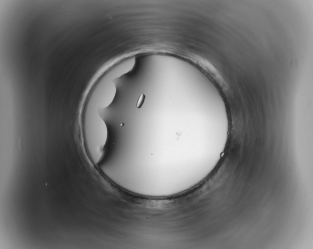 X0000099581184200805301554