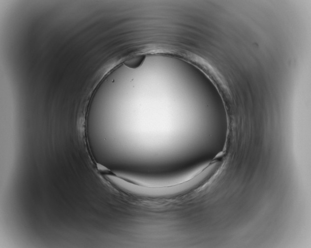 X0000099581185200805301554