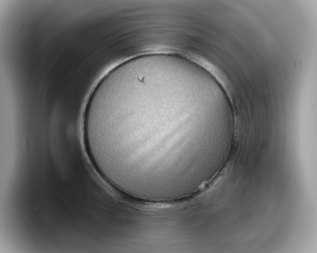 X0000099581187200805301554