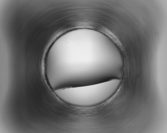 X0000099581188200805301553